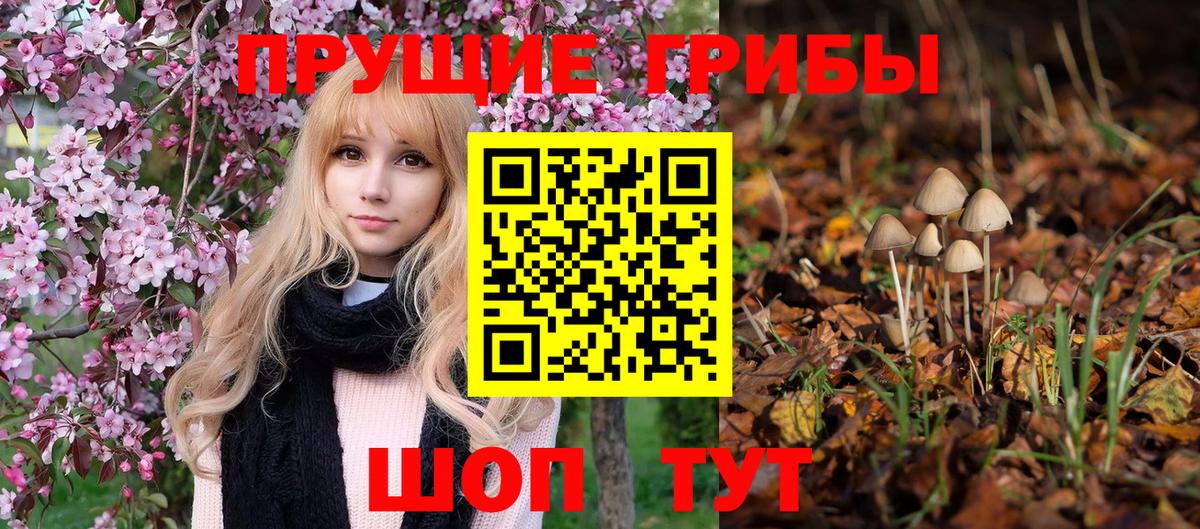 Галлюциногенные грибы Cubensis Фурманов